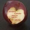 evermoreapple